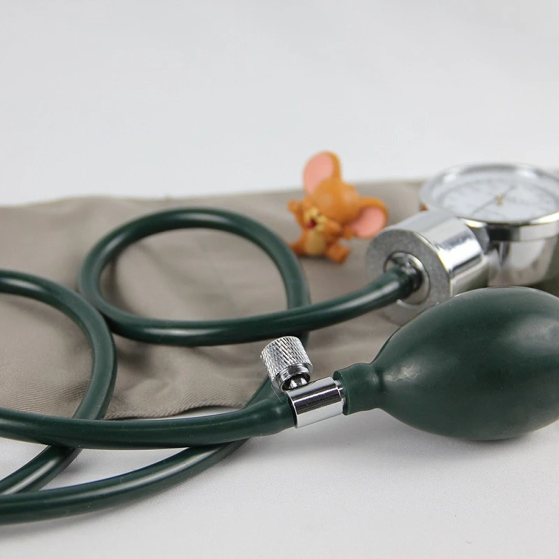 Manual Monitor Aneroid Sphygmomanometer factory